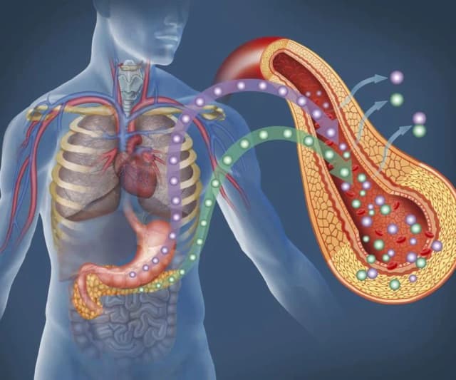 Podwyższony poziom amylazy: co może oznaczać dla zdrowia? Podwyższony poziom amylazy: co może oznaczać dla zdrowia?