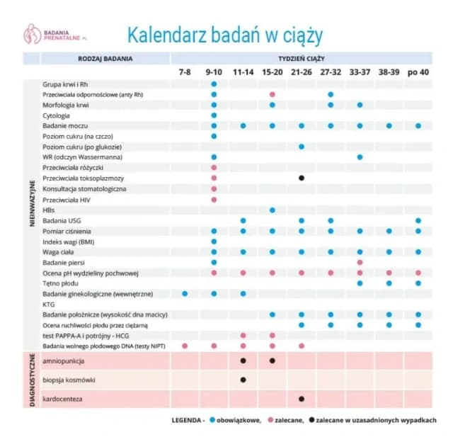 Ile razy powinny być wykonywane badania prenatalne w ciąży?