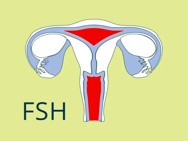 Badania FSH co to jest i dlaczego są kluczowe dla zdrowia hormonalnego