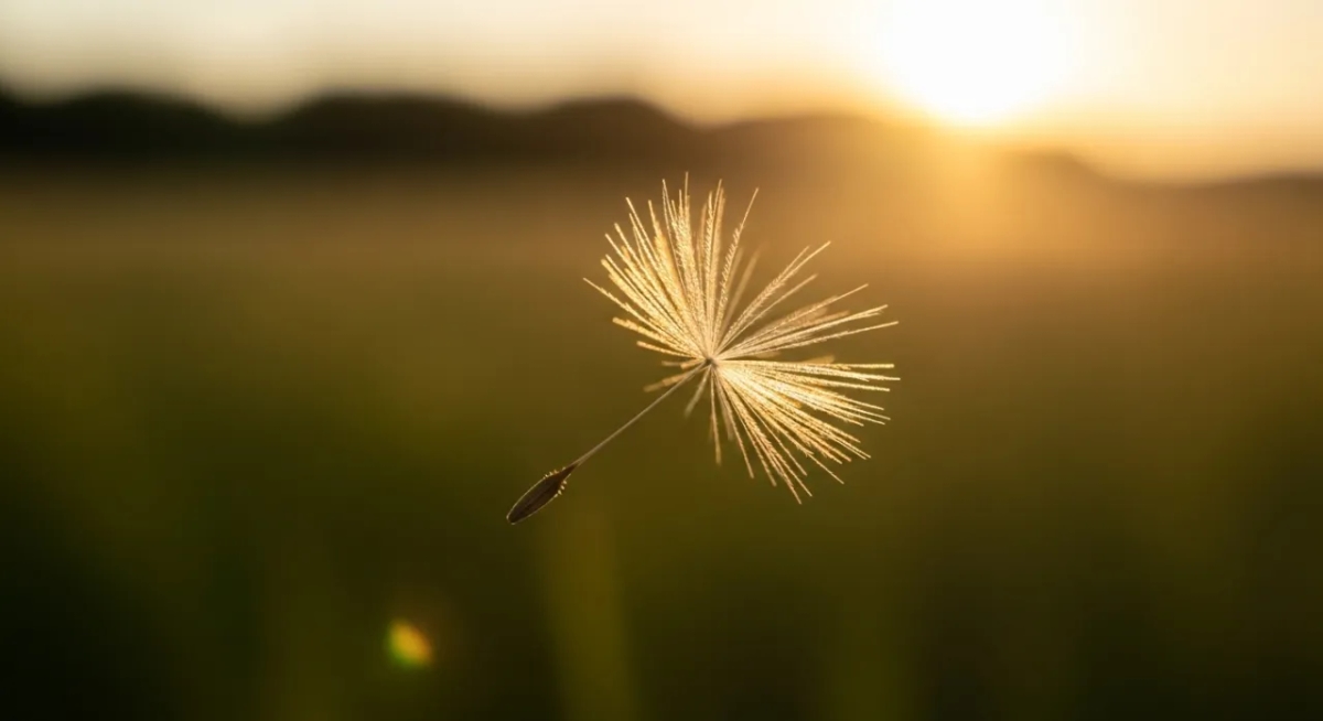 Skutki uboczne metody tomatisa – co warto wiedzieć przed terapią?