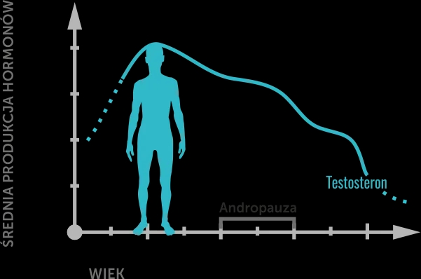 Podwyższony poziom testosteronu u mężczyzn - objawy i zagrożenia zdrowotne