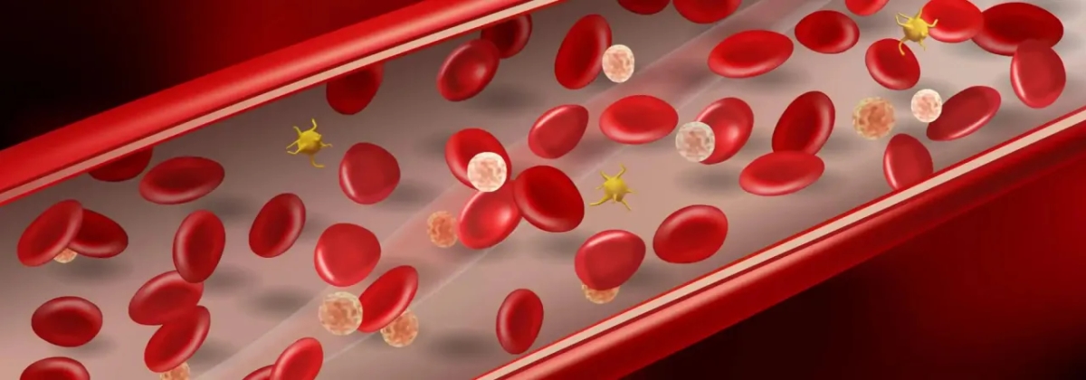 Podwyższony poziom czerwonych krwinek: objawy, przyczyny i ryzyko zdrowotne