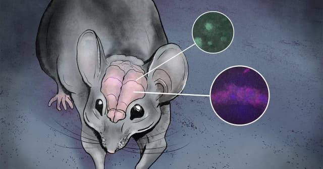 Co powoduje niedobór litu w organizmie i jak go uniknąć?